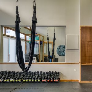 Aerial Arts