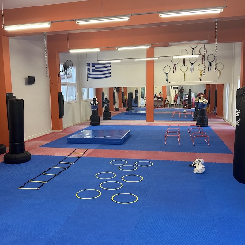 Tae Kwon Do Α.Π.Σ Δραπετσώνας