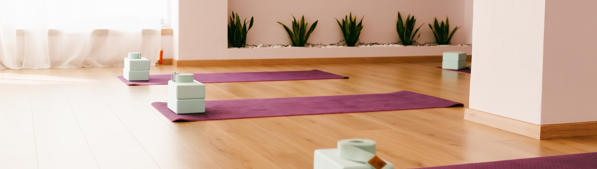 Plumeria Yoga