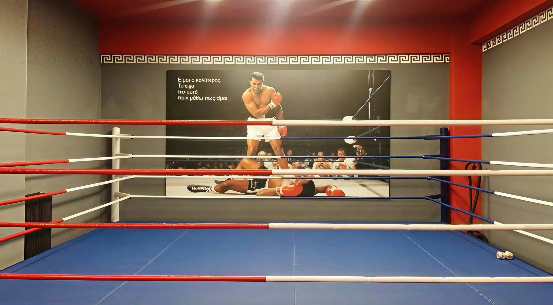 fullhd_Eupator-Christoforidis-Boxing-Club-ring