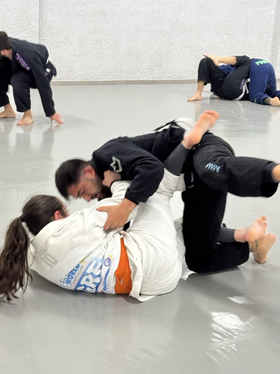 Brazilian Jiu Jitsu
