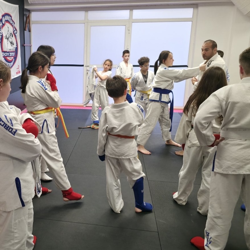 Bushido Academy