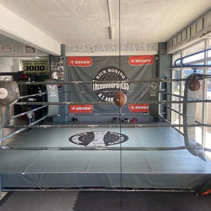 Άλκιμος Kick Boxing