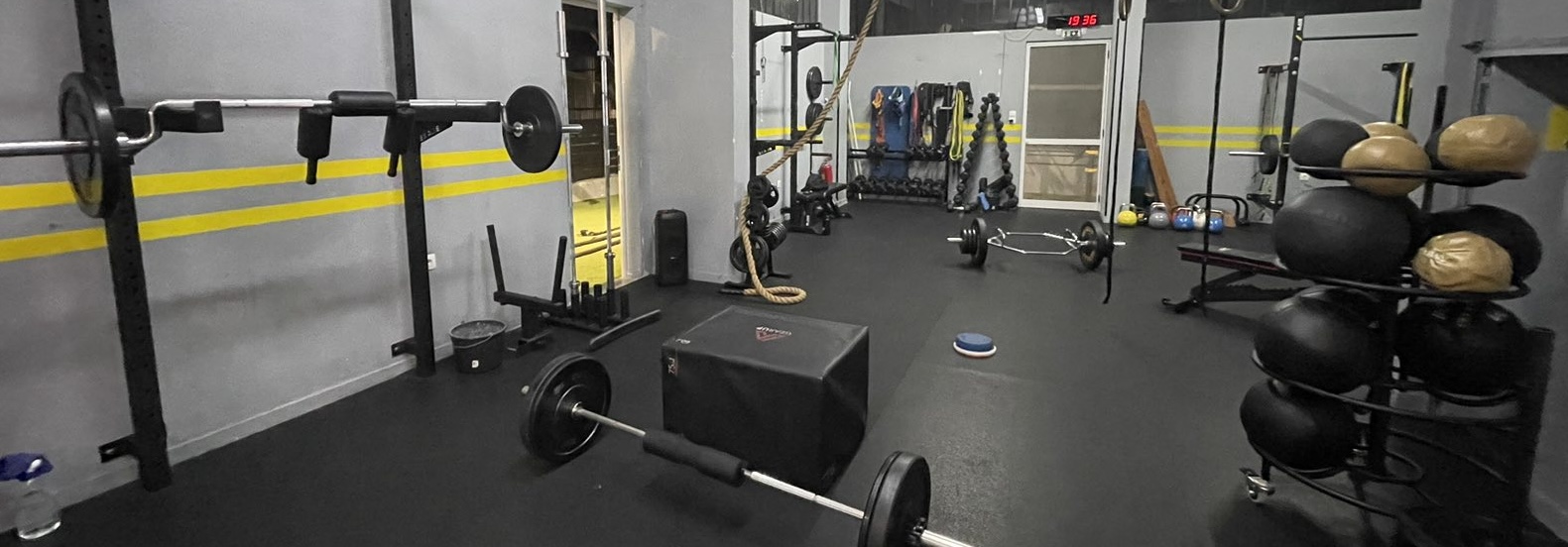 Mankey Gym