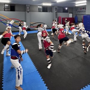 TaeKwonDo