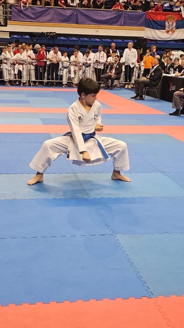 thens-training-hall-amilla-karate-athina-valkaniko-protathlima-paidon-korasidon-sportshunter-7
