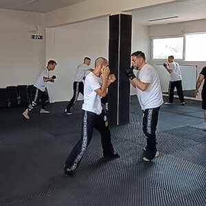 Krav Maga