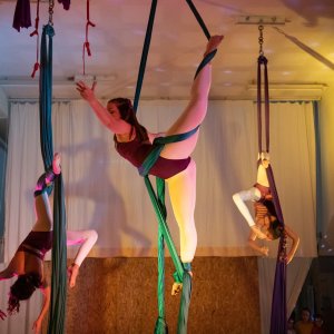 Aerial Silks
