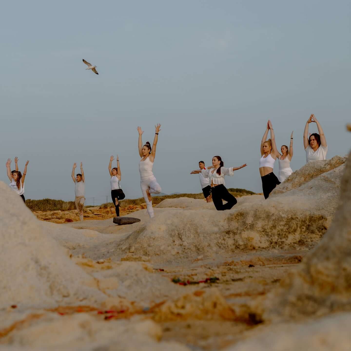Soul Flow Yoga Studio