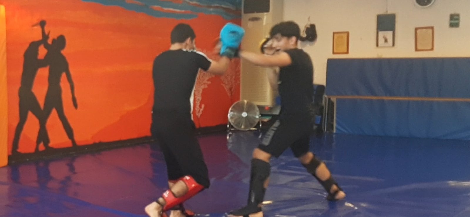 to-pneyma-ton-polemiston-brazilian-jiu-jitsu-vrilissia-sportshunter-tmima-enilikon-7