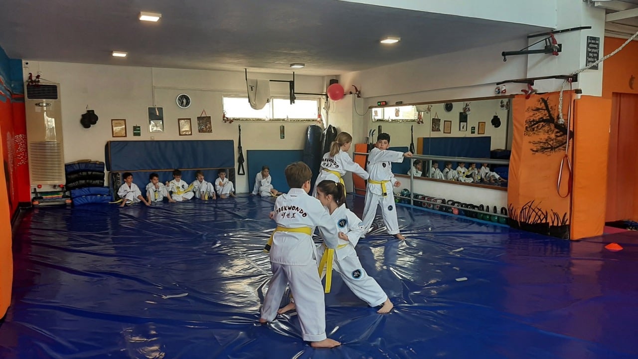 to-pneyma-ton-polemiston-taekwondo-vrilissia-sportshunter-1