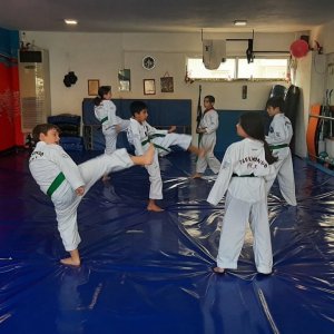 TaeKwonDo