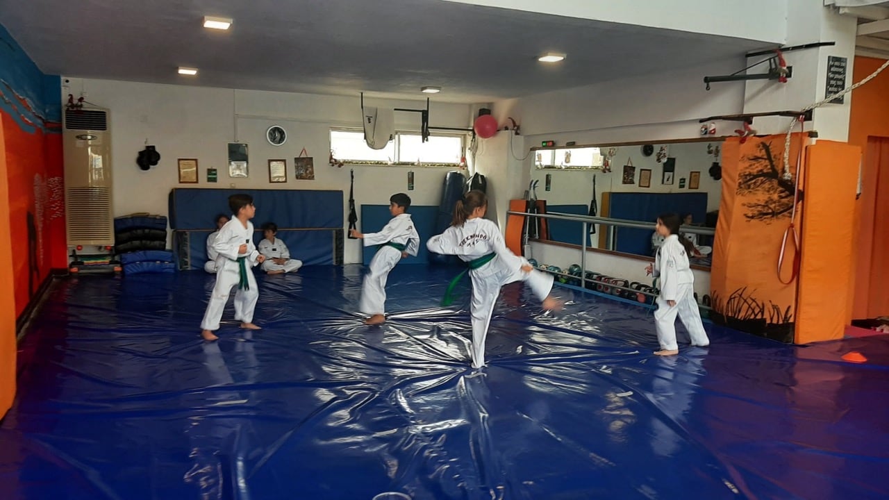 to-pneyma-ton-polemiston-taekwondo-vrilissia-sportshunter-3
