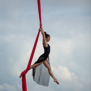 Aerial Arts