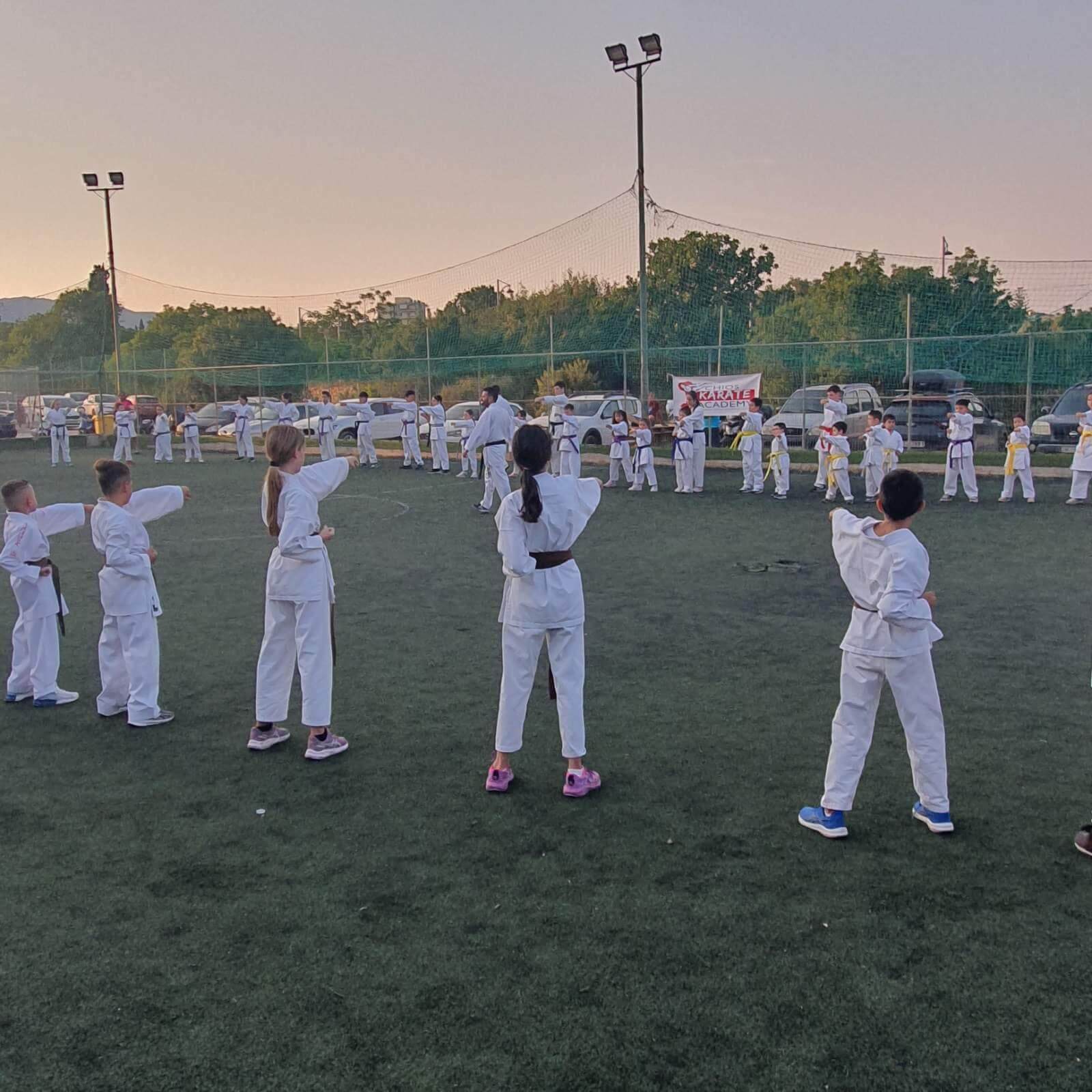 Chios Karate Academy