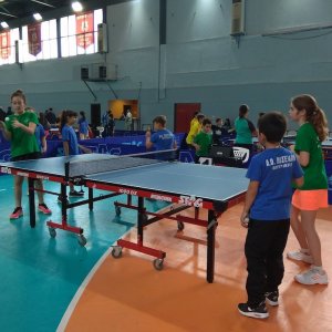 Ping Pong
