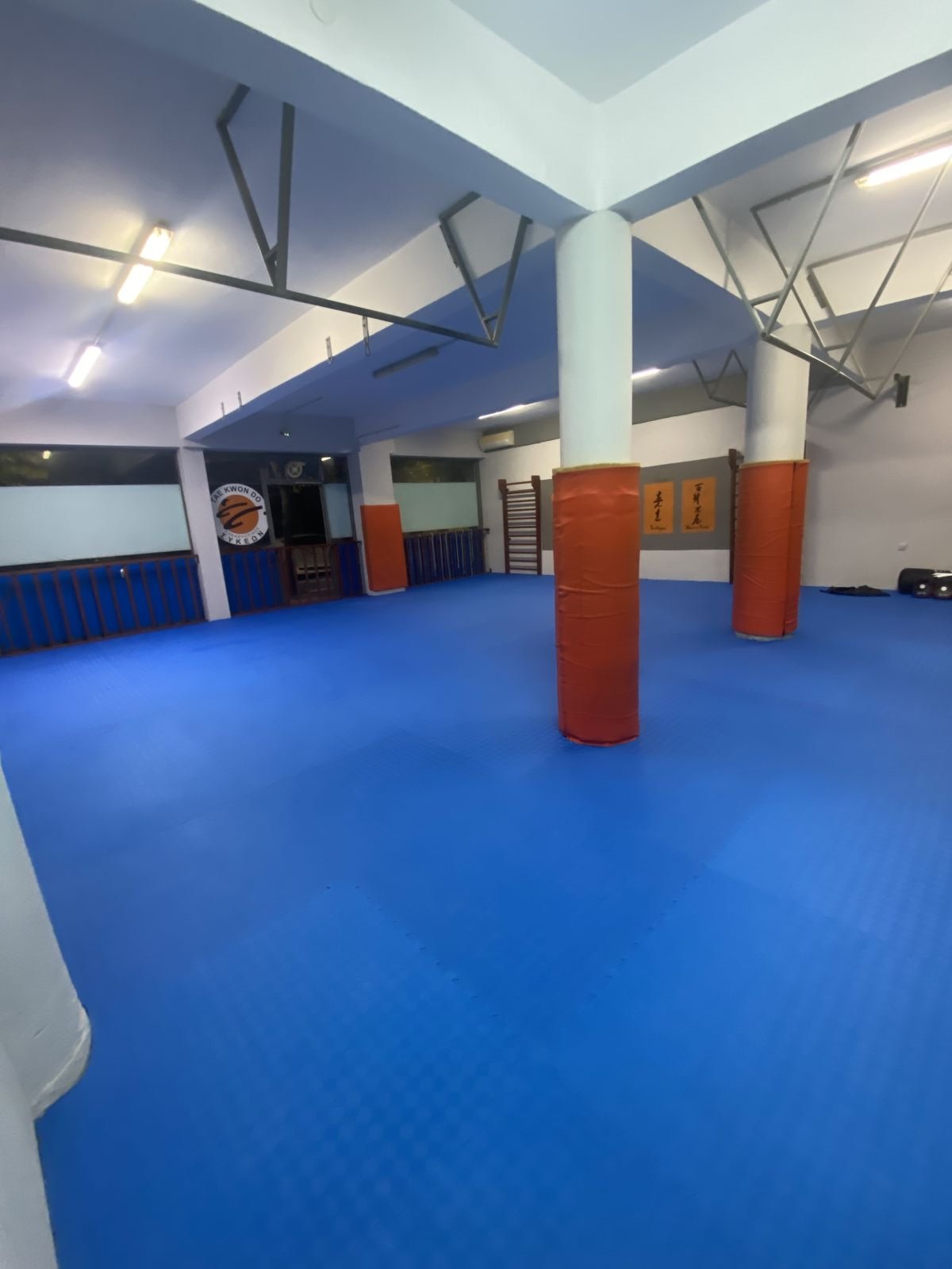 panathlitikos-sykeon-taekwondo-sykies-gallery-sportshunter-4096