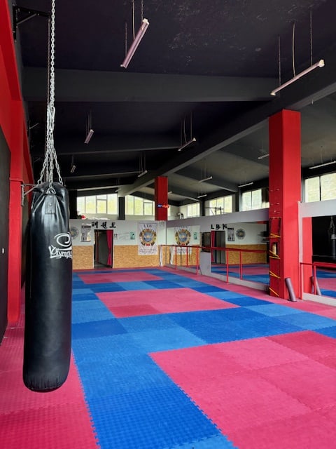 raptis-strength-box-gymnasthrio-filyro-sportshunter-xoros-4